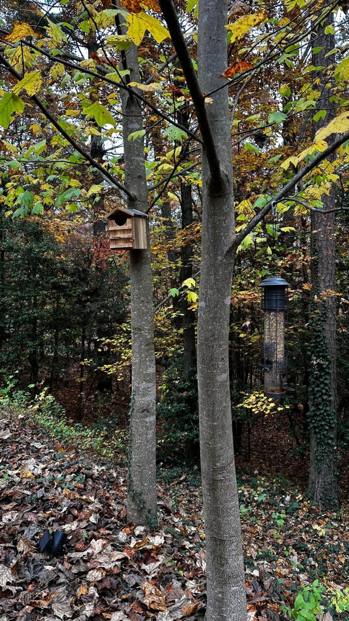 Appalachian Mountain Cabin-Updated-Private-Rafting On Ocoee River-Hiking-Waterfalls-Wifi-Pets Ok Murphy Buitenkant foto
