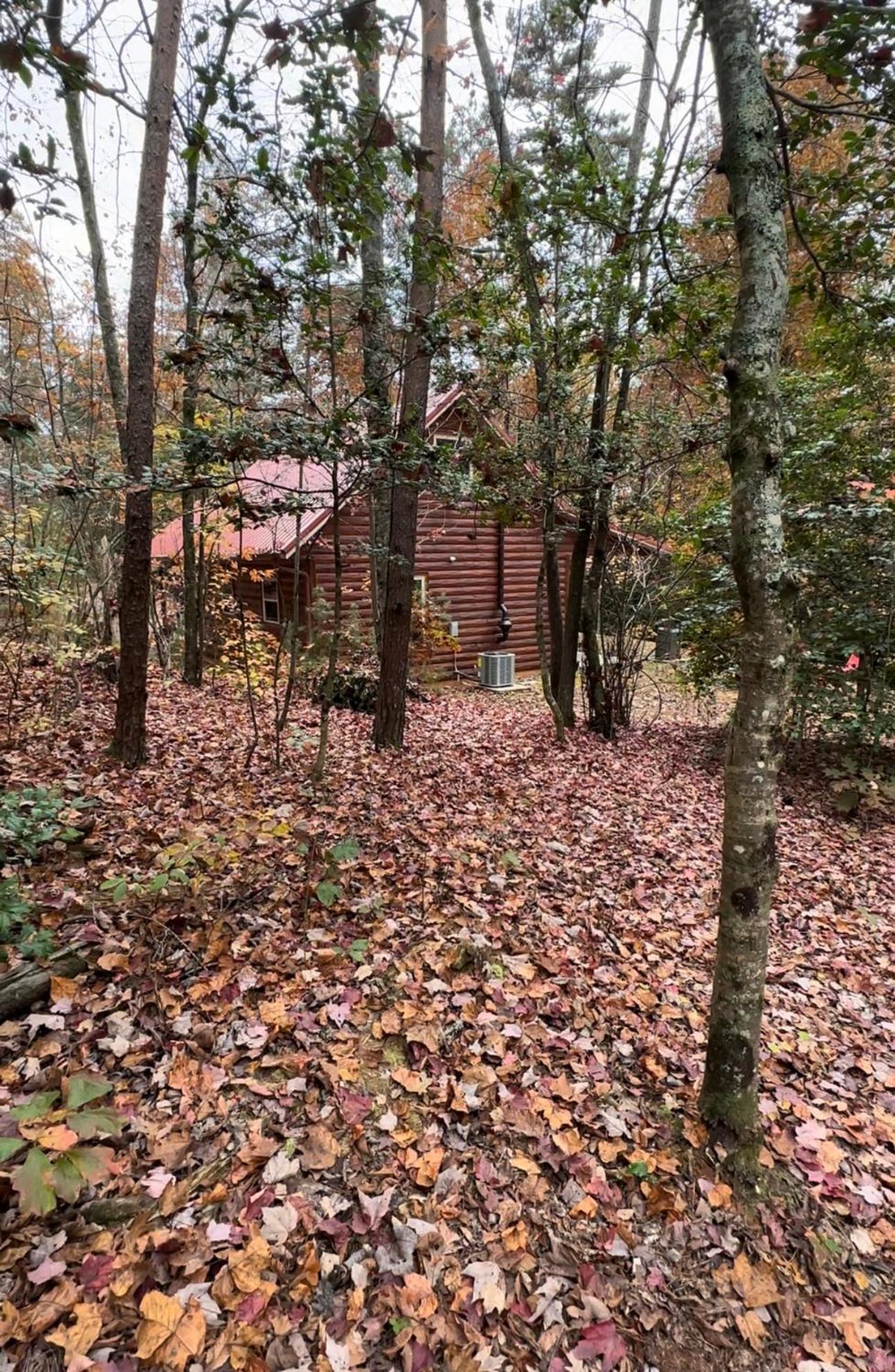 Appalachian Mountain Cabin-Updated-Private-Rafting On Ocoee River-Hiking-Waterfalls-Wifi-Pets Ok Murphy Buitenkant foto