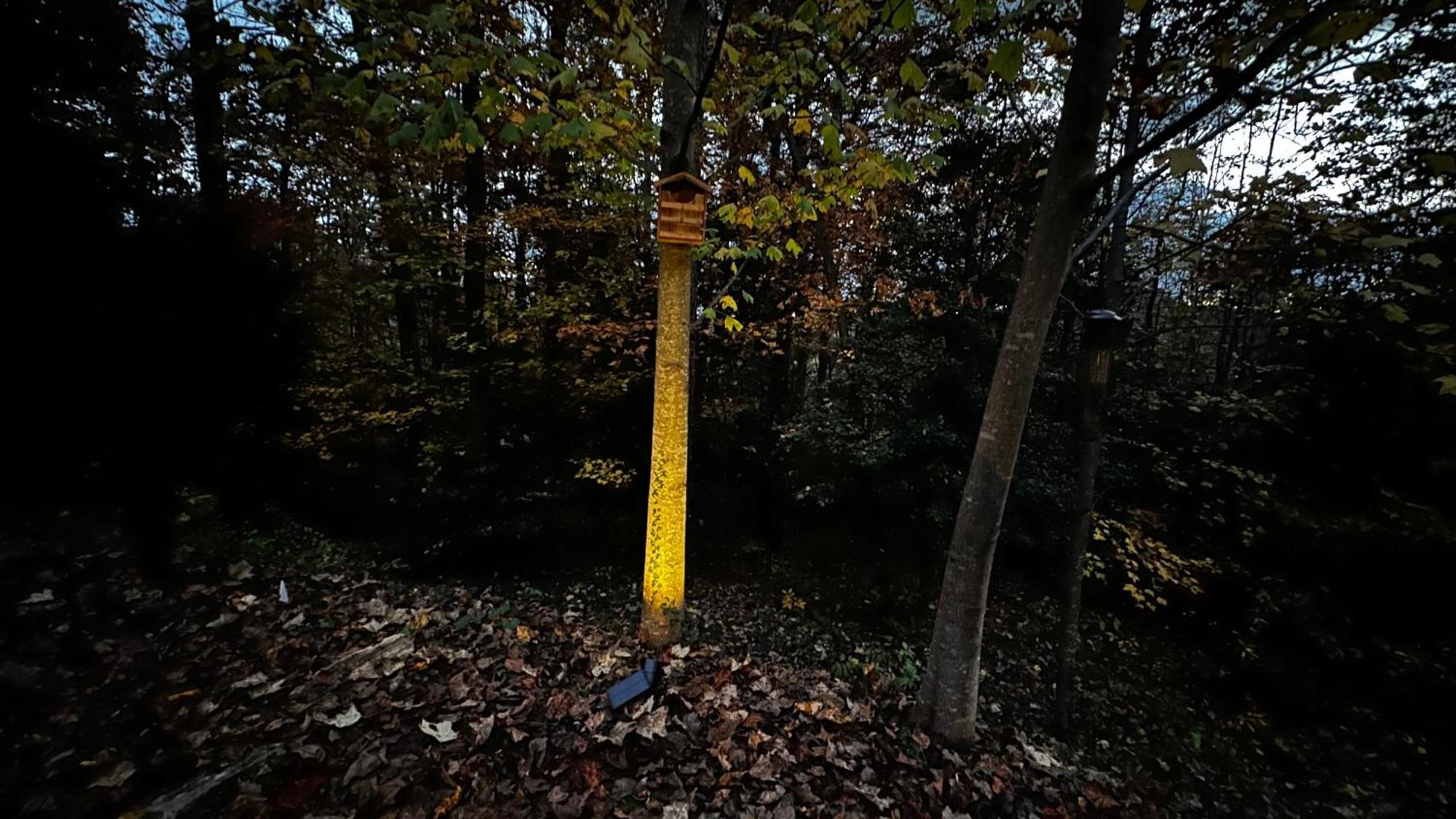 Appalachian Mountain Cabin-Updated-Private-Rafting On Ocoee River-Hiking-Waterfalls-Wifi-Pets Ok Murphy Buitenkant foto