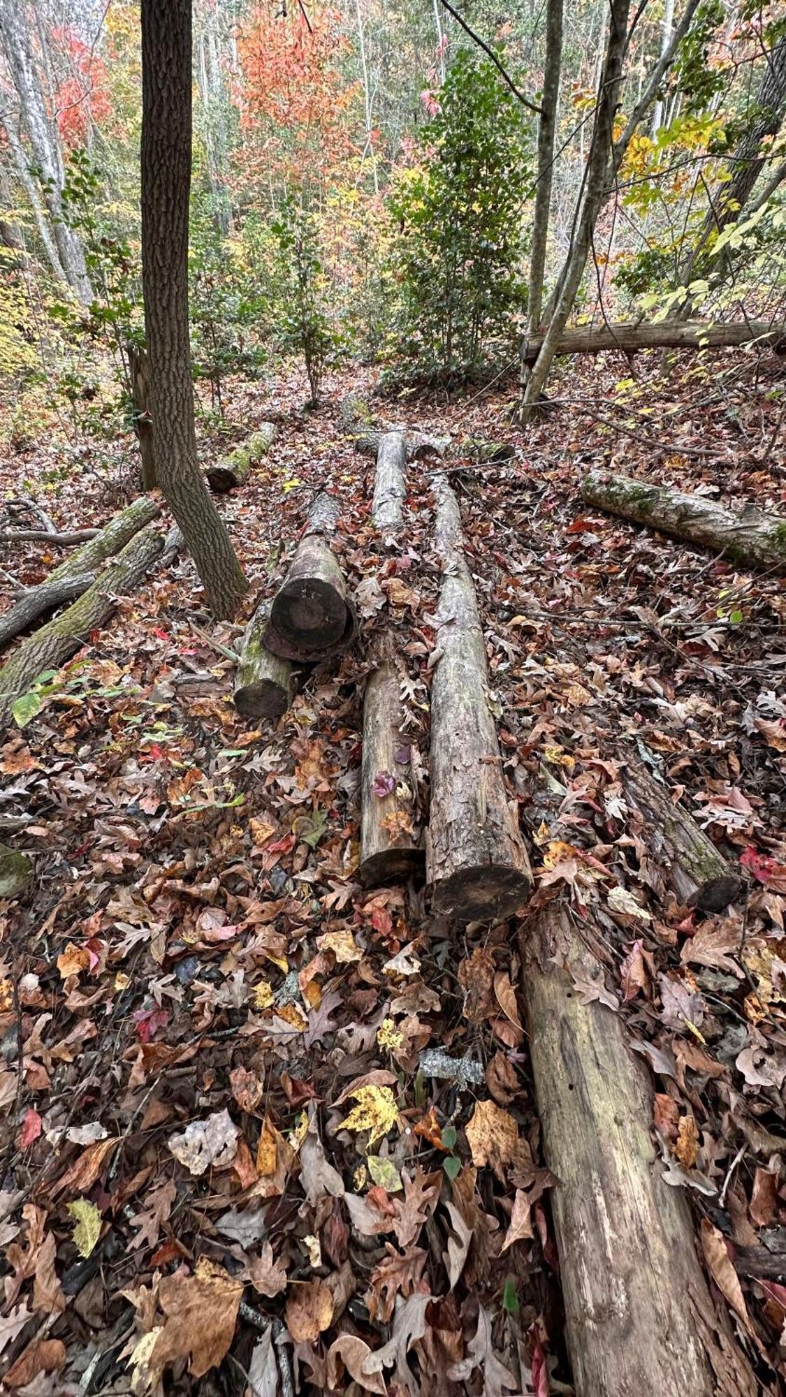 Appalachian Mountain Cabin-Updated-Private-Rafting On Ocoee River-Hiking-Waterfalls-Wifi-Pets Ok Murphy Buitenkant foto