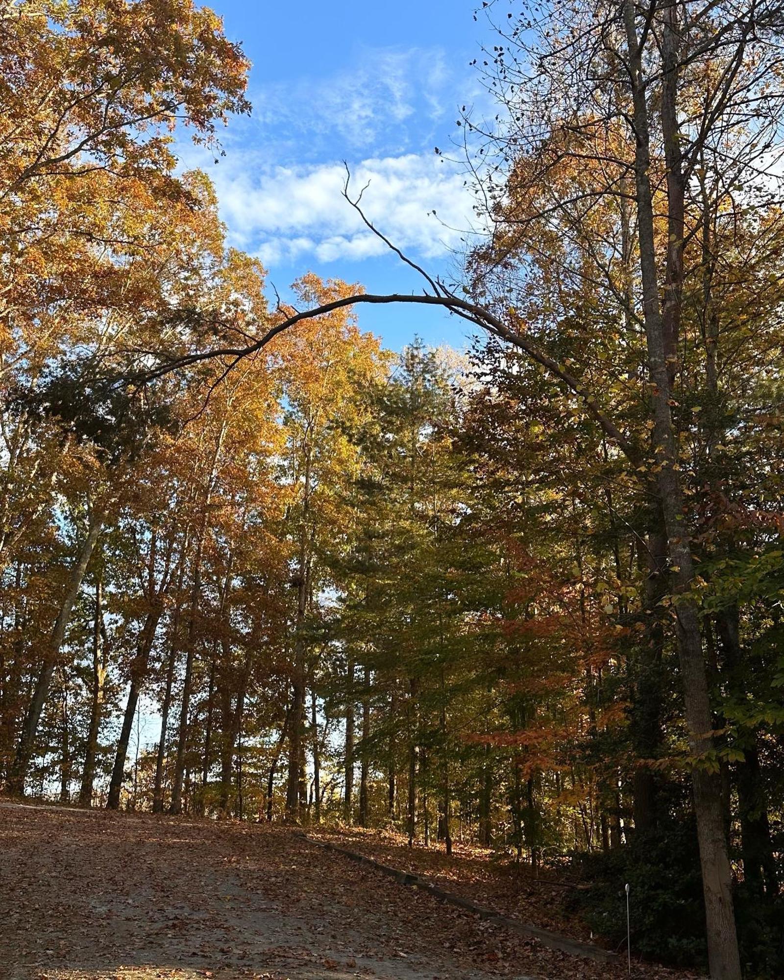 Appalachian Mountain Cabin-Updated-Private-Rafting On Ocoee River-Hiking-Waterfalls-Wifi-Pets Ok Murphy Buitenkant foto