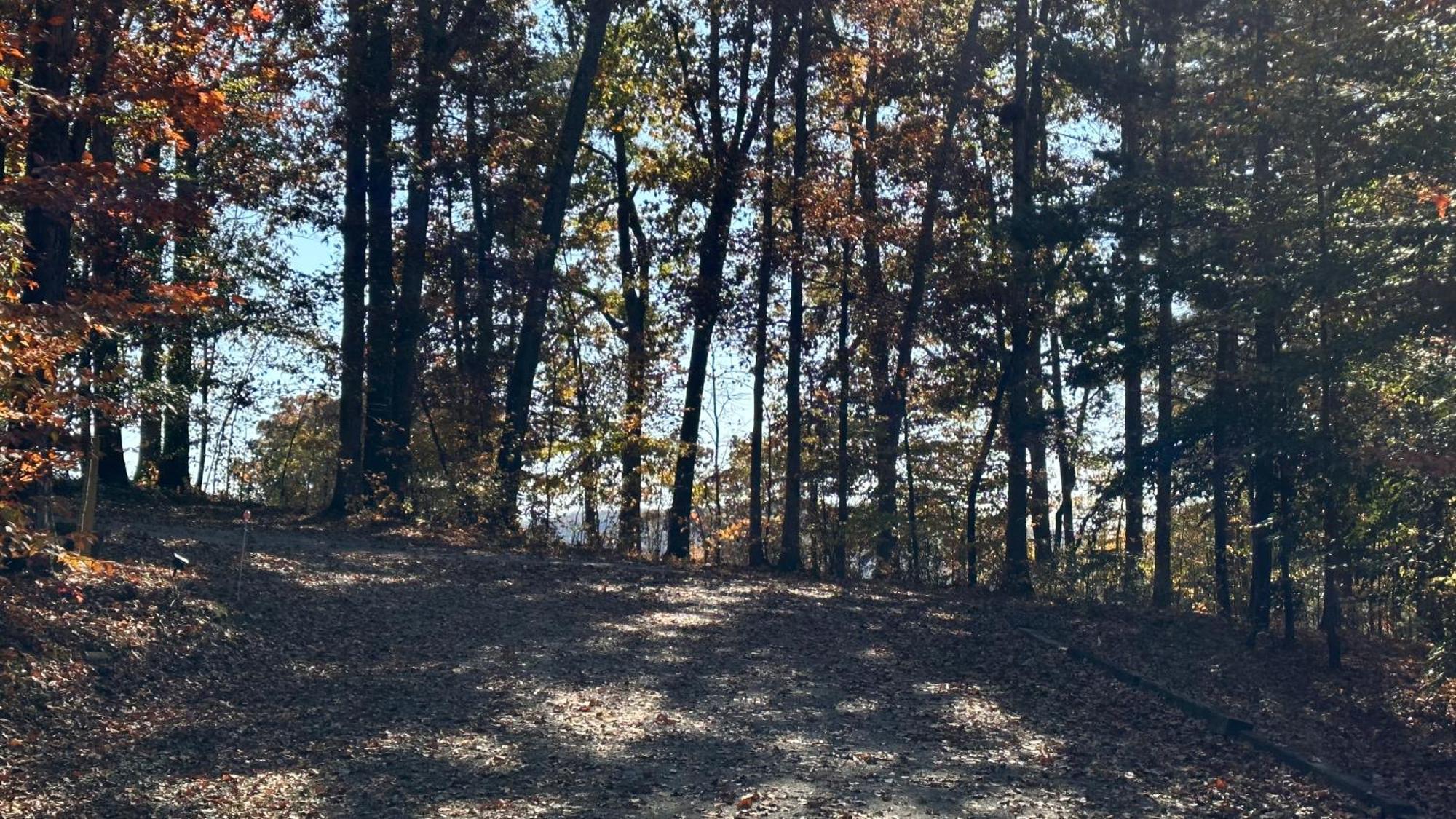 Appalachian Mountain Cabin-Updated-Private-Rafting On Ocoee River-Hiking-Waterfalls-Wifi-Pets Ok Murphy Buitenkant foto