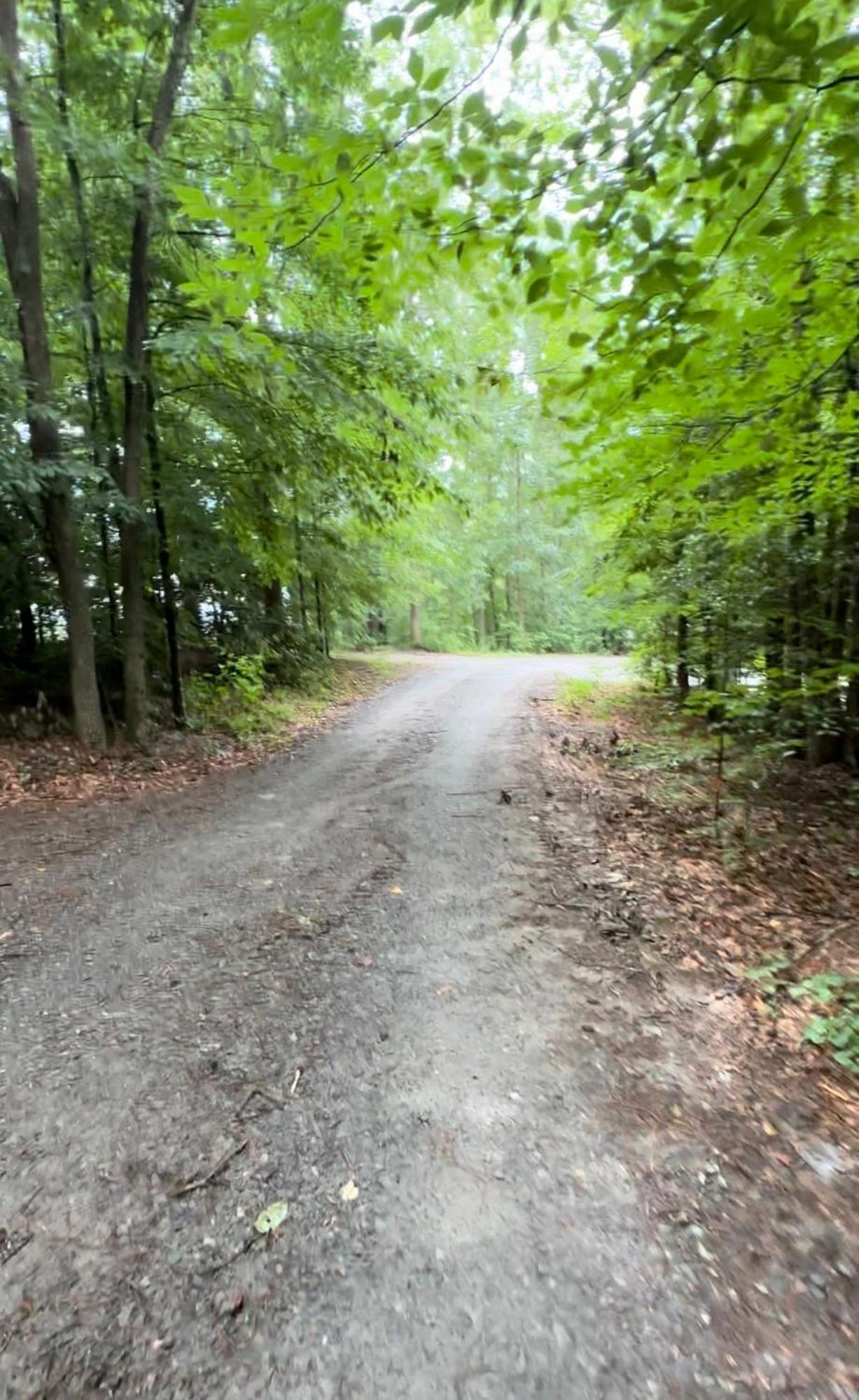 Appalachian Mountain Cabin-Updated-Private-Rafting On Ocoee River-Hiking-Waterfalls-Wifi-Pets Ok Murphy Buitenkant foto